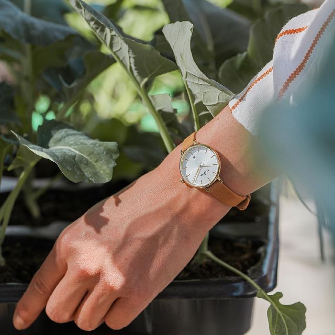 Gehärtetes Mineralglas, solides Quarzwerk, 30 Millimeter Gehäuse, zart braunes Lederarmband – die Festa Petit ist dein verlässlicher & stilvoller Begleiter im Alltag.
Erfahre mehr – über den Link in unserer Bio!
#dugena #mydugena #dugenawatch #dugenatime #dugenawatches #dailywatch #meintagmeinleben #watchesofinstagram #dugenainspo #wotd #watchlover #urbanjungle #fridayvibes #urbangardening #cozyhome #friday #balkonien